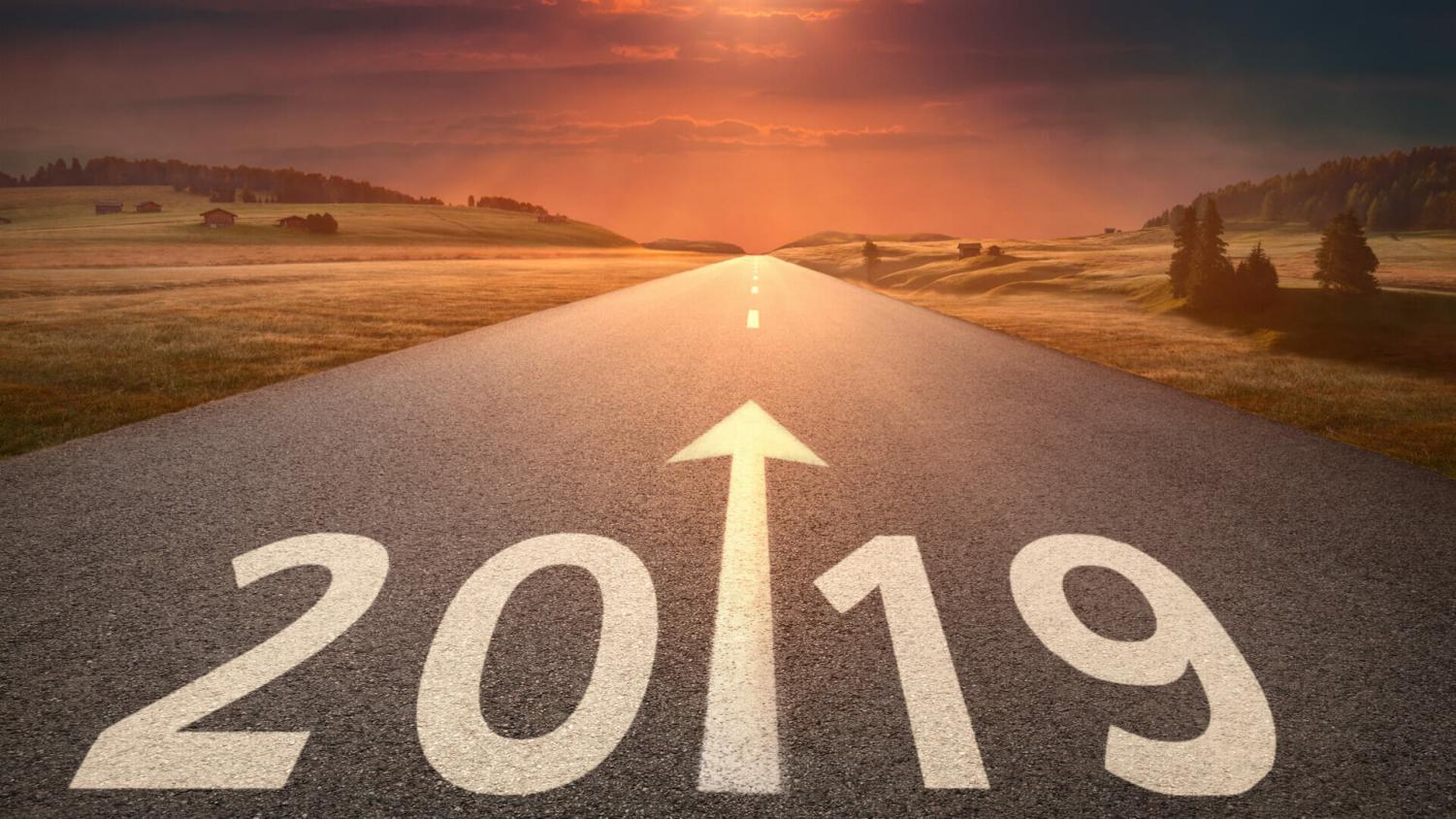 What to Look Forward to in 2019!